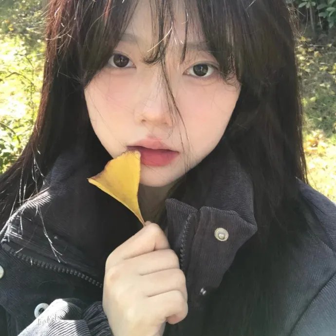 加菲猫的幸福生活第二季